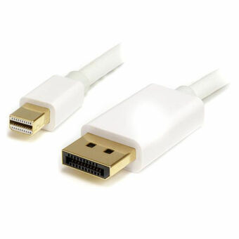 MiniDisplayPort til Displayport kabel Startech MDP2DPMM2MW          (2 m) Hvid 4K Ultra HD