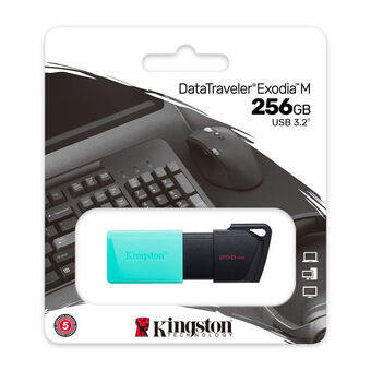 USB stick Kingston DTXM/256GB Nøglesnor Sort Turkisblå 256 GB