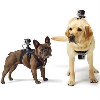 Puluz® GoPro Hero Brystbælte til Hunde