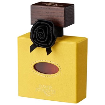 David Jourquin Solaire - Eau de Parfum - Refills + Case - 10 ml