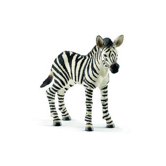 Schleich WILD LIFE Zebra Ung 14811