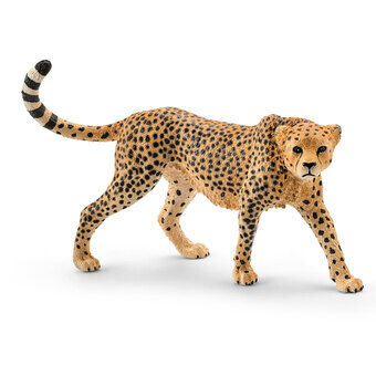 Schleich wild life gepard kvinde 14746