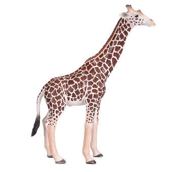 Mojo wildlife giraf han - 381008