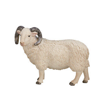 Mojo landbrugsjord fårevædder - 387097