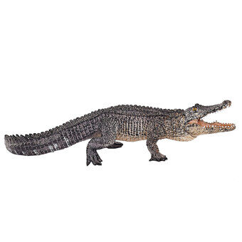 Mojo wildlife alligator med bevægelig kæbe - 387168