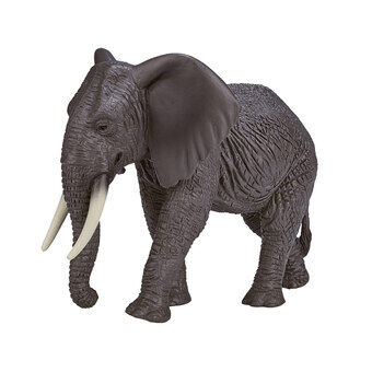 Mojo dyreliv afrikansk elefant - 387189
