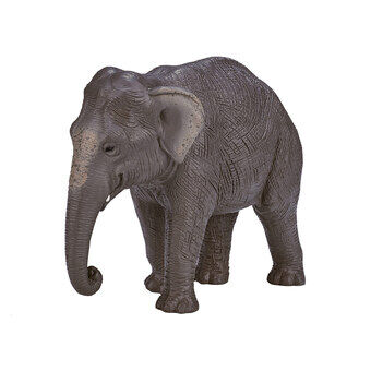 Mojo dyreliv asiatisk elefant - 387266