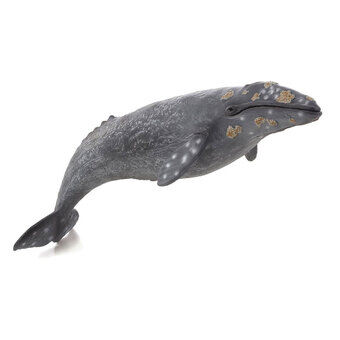 Mojo sealife - gråhval 387280