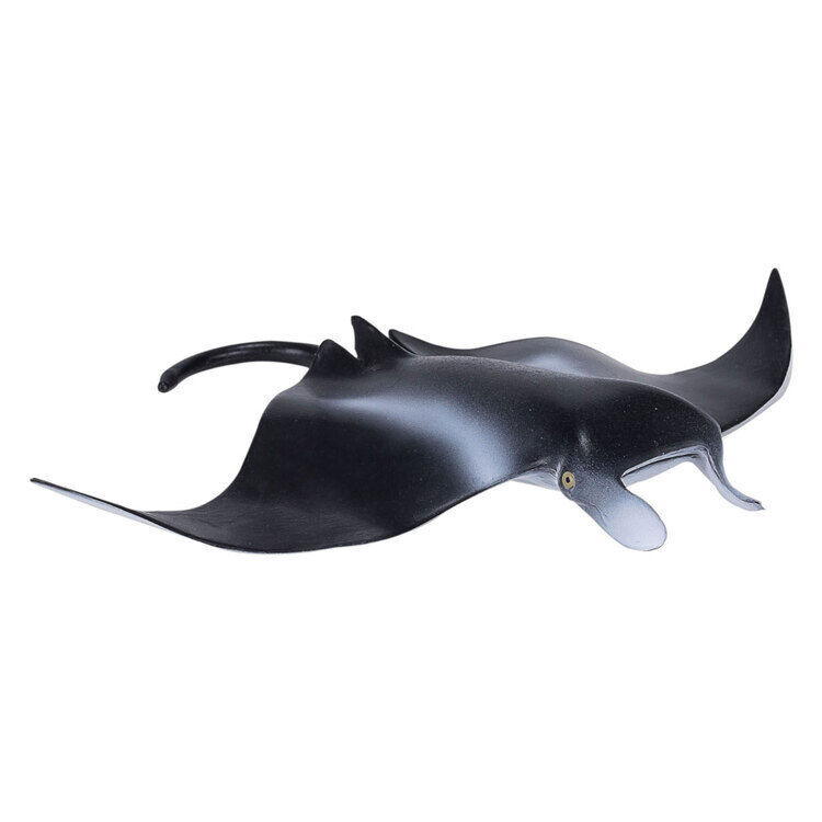 Erhvervelse Reorganisere hovedpine Mojo sealife kæmpe manta ray 387353